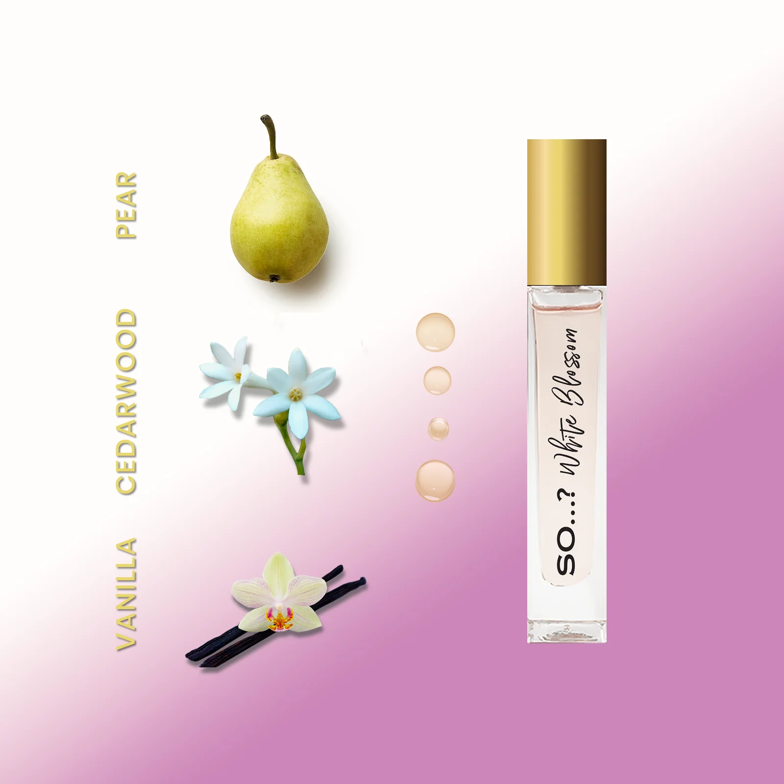 SO…? Unique Travel Size Mini Premium EDT Giftset (4 x 14ml) - Image 4